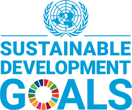 Sustainable Development Goals Logo